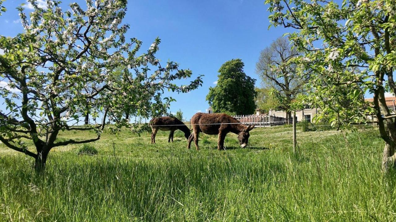 Auberge Casa Sana Pillac Zewnętrze zdjęcie